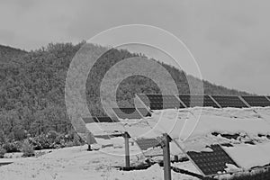 Photovoltaic modules covered with snow