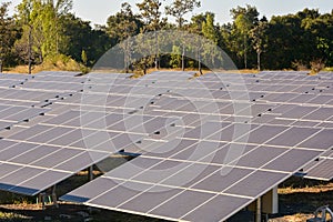 Photovoltaic solar energy panels farm