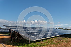 Photovoltaic solar energy park on a sunny day