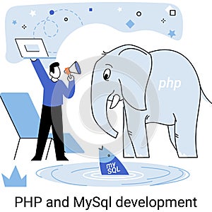 PHP and MySql development. Software website developer, programmer service, programming language