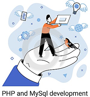 PHP and MySql development. Software website developer, programmer service, programming language