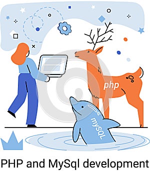 PHP and MySql development. Software website developer, programmer service, programming language