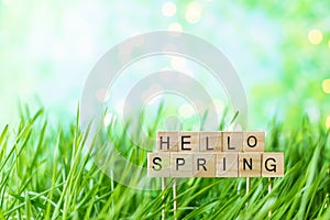 Phrase Hello Spring on the background of green summer grass with dew