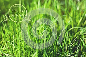 Phrase hello spring over green grass