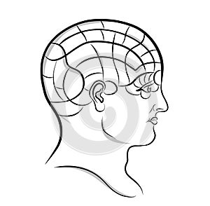 Phrenology Head