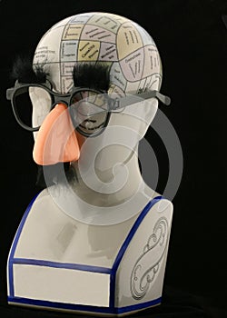 Phrenology Head with Gag Glasses