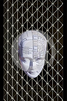 Phrenology map of the brain