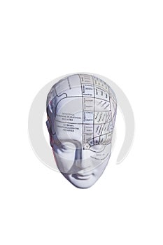 Phrenology map of the brain