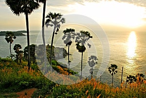 Phromthep cape viewpoint at sunset