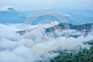 Phu Thap Boek sea of fog In Phetchabun, Thailand