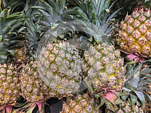 Phuket pineapple