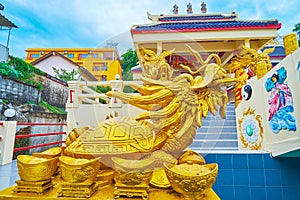 The turtle-dragon in Sam Sae Chu Hut Chinese Shrine, Phuket City, Thailand