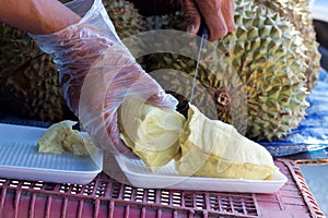 Phuket, Thailand food market: vendor cutting piece of fresh durian