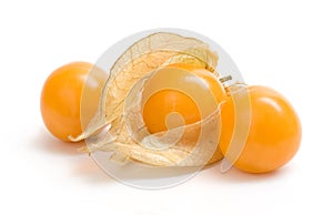 Physalis photo