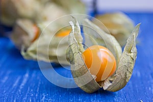 (Physalis alkekengi) yellow winter cherry