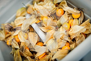 Physalis in a Basket