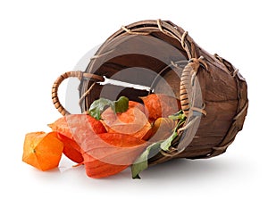 Physalis in a basket