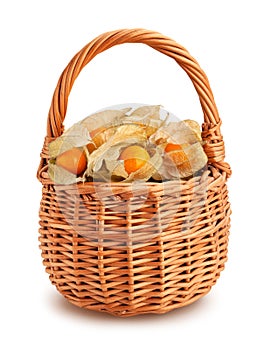 physalis basket path isolated