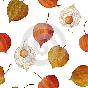 Physalis buds. Cape gooseberry flowers seamless watercolor pattern Golden berry colorful botanical illustration Autumn berries