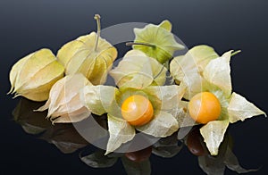 Physalis or cape gooseberry
