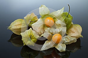 Physalis or cape gooseberry