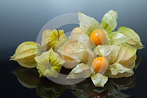 Physalis or cape gooseberry