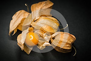 Physalis Cape gooseberry.