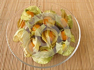 Physalis - Cape gooseberry
