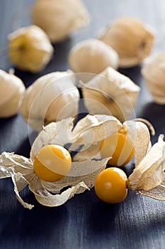 Physalis or Cape Gooseberry or Groundcherry