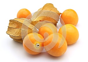 Physalis closeup