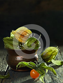 Physalis closeup detail