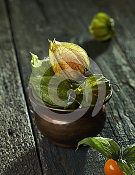 Physalis closeup detail