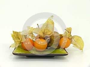 Physalis