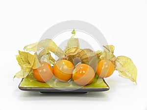 Physalis