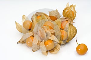Physalis fruit 1