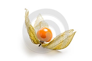 Physalis fruit