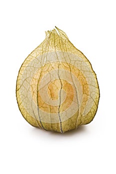 Physalis fruit