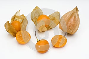 Physalis fruit 2