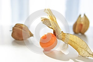 Physalis fruit