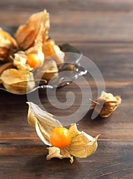 Physalis fruit