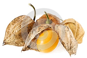 Physalis Fruit