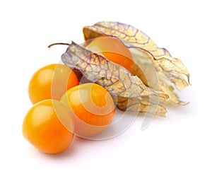 Physalis fruit