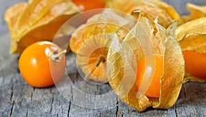 Physalis fruit