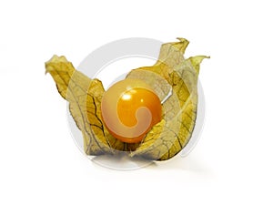 Physalis fruit