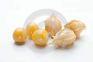 physalis fruit