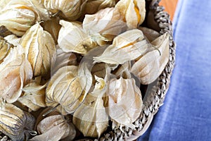 Physalis Fruit in Basket