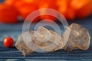 Physalis fruit on blue background