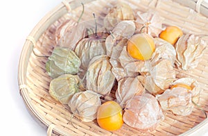 Physalis fruit