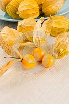 Physalis fruit closeup