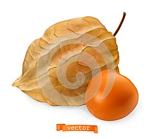 Physalis fruit with husk, 3d realistic vector icon